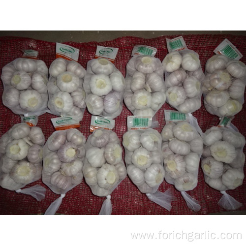 Fresh Normal White Garlic Jinxiang